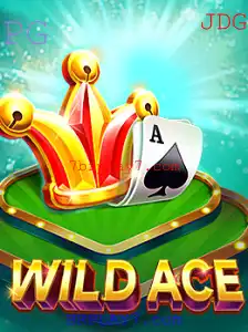 Desvendando WildAce: Um Guia Completo